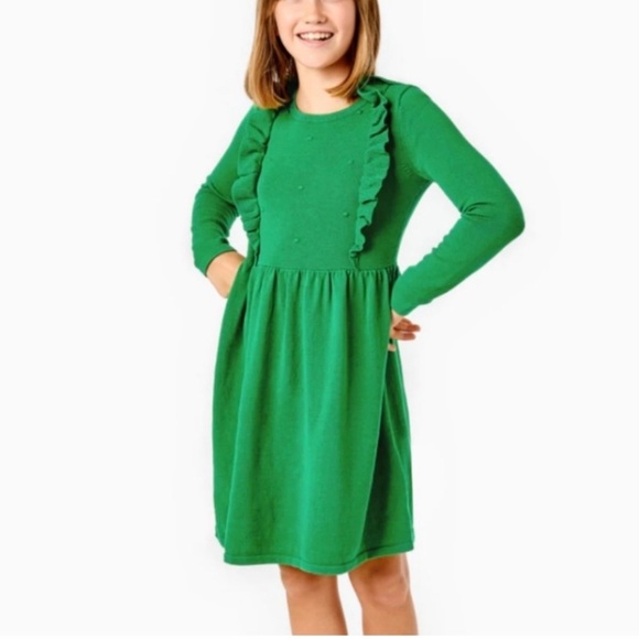 Lilly Pulitzer Other - Lilly Pulitzer Eunice Sweater Dress